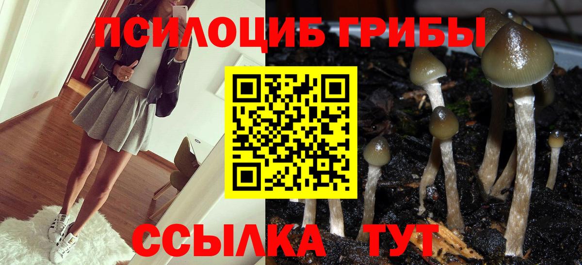 Галлюциногенные грибы GOLDEN TEACHER Зеленокумск