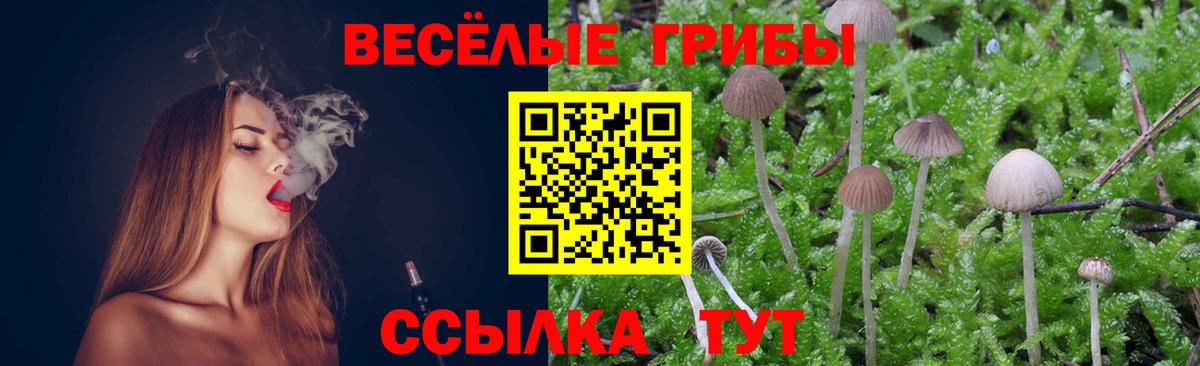 Зеленокумск  Псилоцибиновые грибы мухоморы  Галлюциногенные грибы прущие грибы  Вход с VPN 